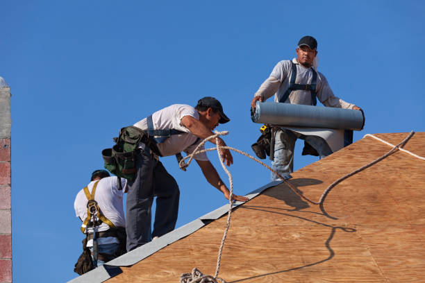 Best Residential Roofing Contractor  in Rantoul, IL