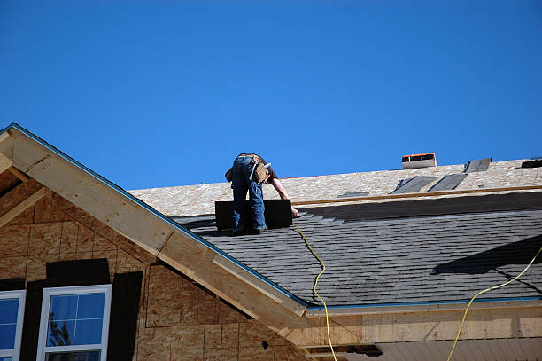Best Local Roofing Companies  in Rantoul, IL