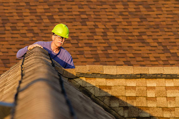 Best Roof Leak Repair  in Rantoul, IL