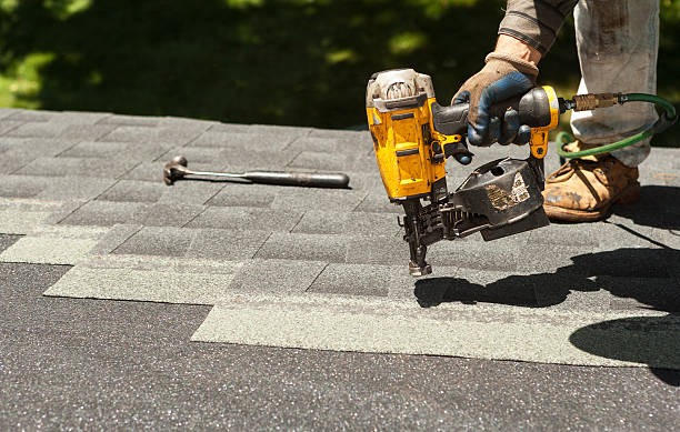 Roof Gutter Cleaning in Rantoul, IL