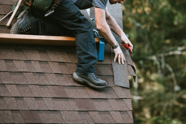 Best Roof Maintenance Services  in Rantoul, IL